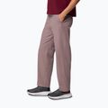 Men's trekking trousers Columbia ROC Straight Leg iron 4