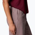 Women's trekking trousers Columbia ROC Straight Leg iron 7