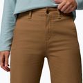 Men's trekking trousers Columbia ROC Straight Leg delta 5