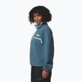 Women's fleece sweatshirt Columbia Helvetia II Cropped Half Snap Fleece everblue/crushed blue/citron haze 4