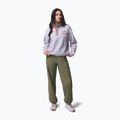Women's fleece sweatshirt Columbia Helvetia II Cropped Half Snap Fleece lavender pearl/shale purple/zing 2