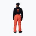 Men's ski trousers Columbia Cirque Bowl zing 3