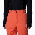 Men's ski trousers Columbia Cirque Bowl zing 5