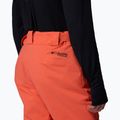 Men's ski trousers Columbia Cirque Bowl zing 6