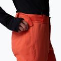 Men's ski trousers Columbia Cirque Bowl zing 7