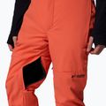 Men's ski trousers Columbia Cirque Bowl zing 10
