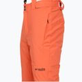 Men's ski trousers Columbia Cirque Bowl zing 15