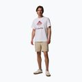 Men's T-shirt Columbia CSC Seasonal Graphic white/heavenly stacked gem 2
