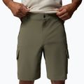 Men's trekking shorts Columbia Silver Ridge Elite stone green 5