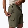 Men's trekking shorts Columbia Silver Ridge Elite stone green 7