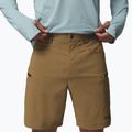 Men's trekking shorts Columbia Cosmiques Pro Nylon delta 5