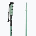 Ski poles Salomon Steep iceberg green/black 3