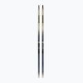Cross-country skis Salomon Escape 51 Grip PM+ wiązania Prolink Access Clasic silver/sargasso sea/coppen blue