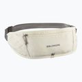 Running belt Salomon Pulse Sling icicle / castlerock
