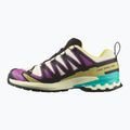 Men's running shoes Salomon XA PRO 3D V9 GTX transparent yellow/black/waterfall 9