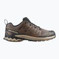 Men's running shoes Salomon XA Pro 3D V9 falcon/desert tan/black 2