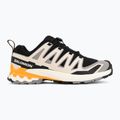 Men's running shoes Salomon XA Pro 3D V9 black/gull 2