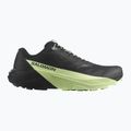 Men's running shoes Salomon Pulsar black/black/patina green 9