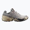 Men's running shoes Salomon Speedcross 6 GTX gull/white pepper/black 2