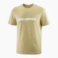 Men's T-shirt Salomon Logo gray green 3