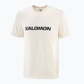 Men's T-shirt Salomon Logo whisper white 3