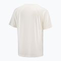 Men's T-shirt Salomon Shakeout Core whisper white 4