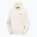 Men's sweatshirt Salomon Chest Logo Hoodie whisper white 5