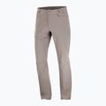 Men's trekking trousers Salomon Wayfarer iron 6