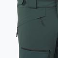 Men's ski trousers Salomon Spectral green gables 4