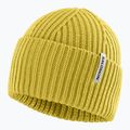 Winter hat Salomon Snowbird whisper cress green