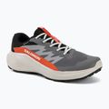 Men's running shoes Salomon Alphaglide GTX castlerock/lunar rock