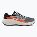 Men's running shoes Salomon Alphaglide GTX castlerock/lunar rock 2
