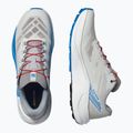Men's running shoes Salomon Pulsar lunar rock/white/french blue 8