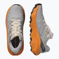 Men's running shoes Salomon Ultra Flow 2 GTX gull/turmeric/white pepper 8