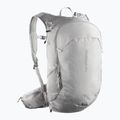 Hiking backpack Salomon Trailblazer 20 l cloudburst/paloma/silver