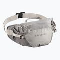 Waist bag Salomon Trailblazer cloudburst/paloma/silver