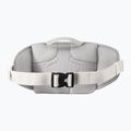 Waist bag Salomon Trailblazer cloudburst/paloma/silver 2