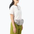 Waist bag Salomon Trailblazer cloudburst/paloma/silver 3