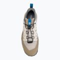 Men's hiking boots Salomon Techamphibian 5 rainy day/desert tan/mykonos blue 5