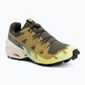 Men's running shoes Salomon Speedcross 6 GTX grape leaf/aspargus green
