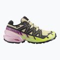 Women's running shoes Salomon Speedcross 6 GTX bog/dawn pink