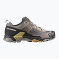 Men's trekking boots Salomon X Ultra 5 cloudburst/black/willow