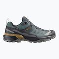 Men's trekking boots Salomon X Ultra 360 GTX urban chic/black