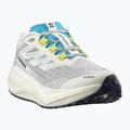 Men's running shoes Salomon Aero Blaze 3 GRVL vanilla ice/ojos del salar/black 9