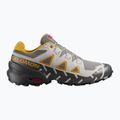 Running shoes Salomon Speedcross 6 20 Years Q2 castelrock/asphalt/arrowwood 2