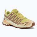 Women's running shoes Salomon XA Pro 3D V9 endive/burro/almond cream
