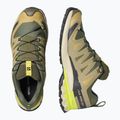 Men's running shoes Salomon XA Pro 3D V9 GTX grape leaf/aloe 3