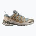 Men's running shoes Salomon XA Pro 3D V9 GTX sedona sage/brilliant olive
