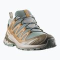 Men's running shoes Salomon XA Pro 3D V9 GTX sedona sage/brilliant olive 2