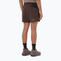 Men's running shorts Salomon Sense Aero Stow 5" coffee bean 3